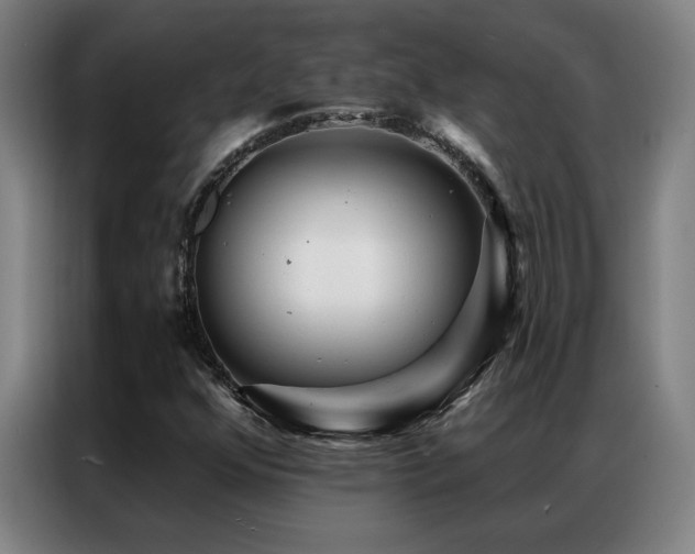 X0000087381352200704201238