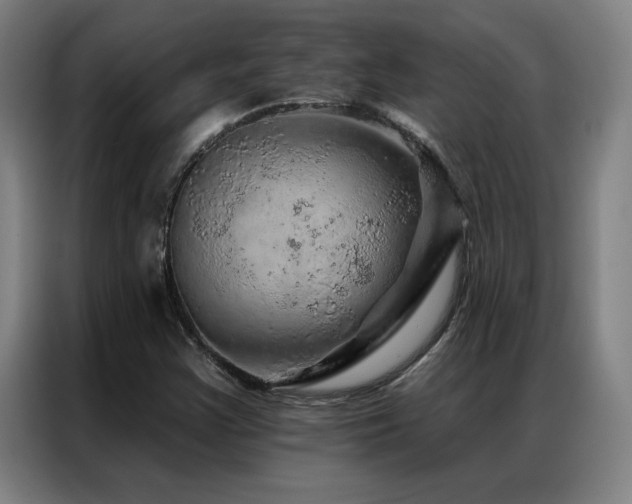 X0000087381355200704201238
