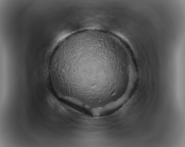 X0000087381359200704201238