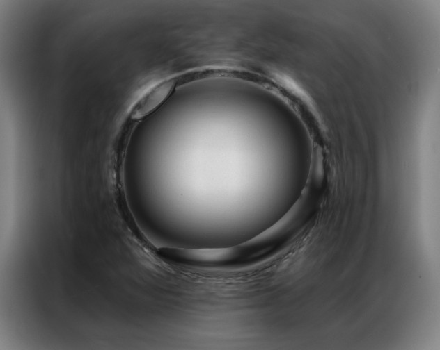 X0000087381360200704201238