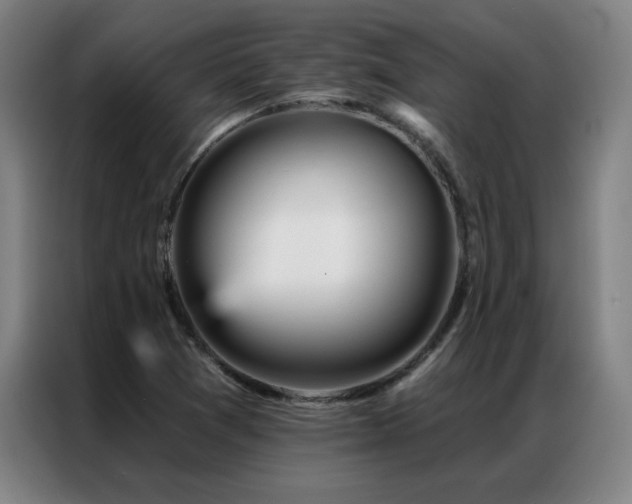 X0000087381361200704201238