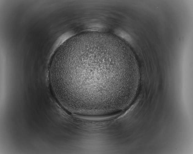 X0000087381362200704201238