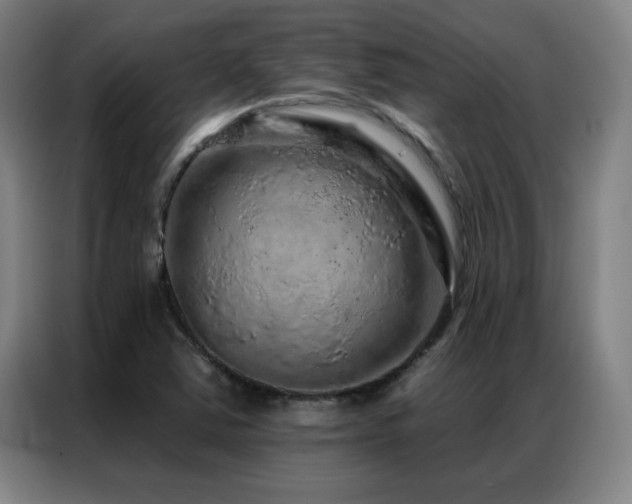 X0000087381363200704201238