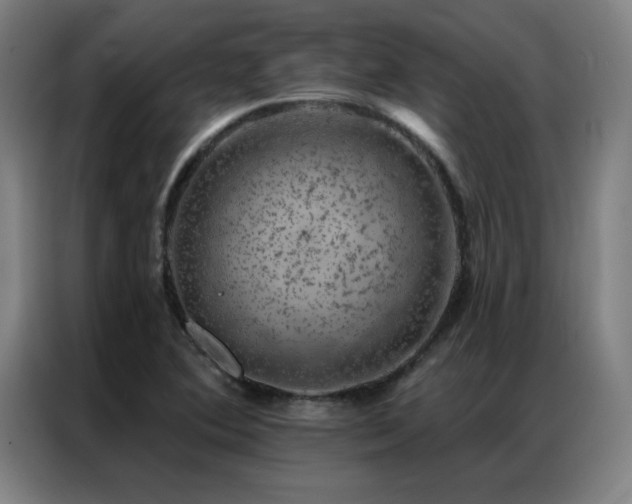 X0000087381364200704201238