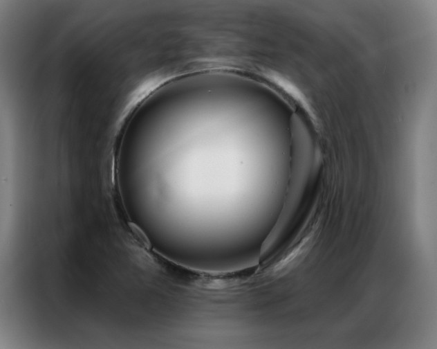 X0000087381365200704201238