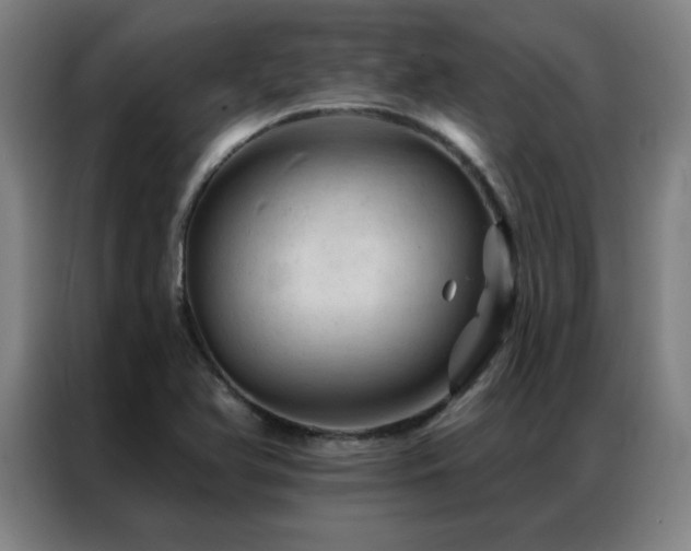 X0000087381366200704201238