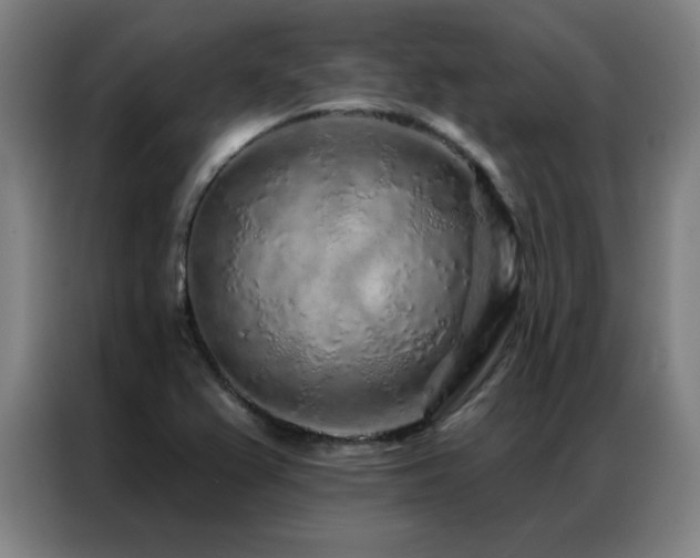 X0000087381367200704201238