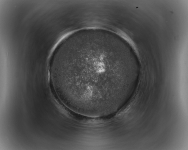 X0000087381368200704201238