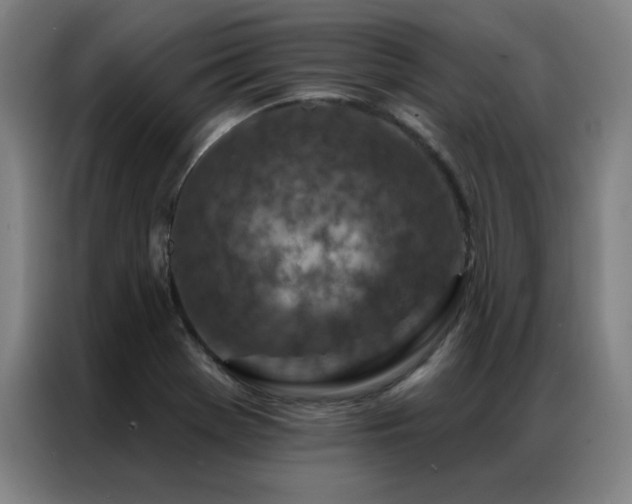X0000087381369200704201238