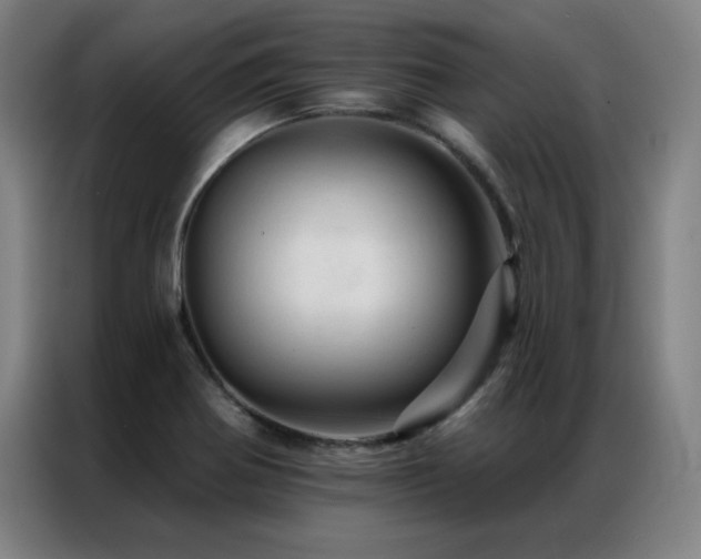 X0000087381370200704201238