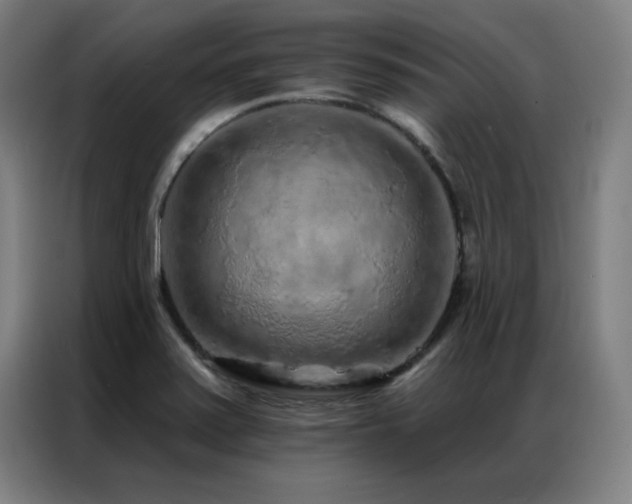 X0000087381371200704201238