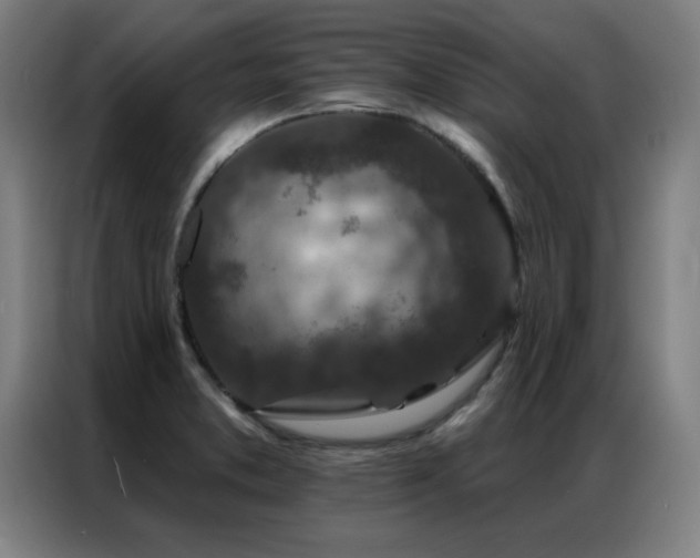 X0000087381373200704201238