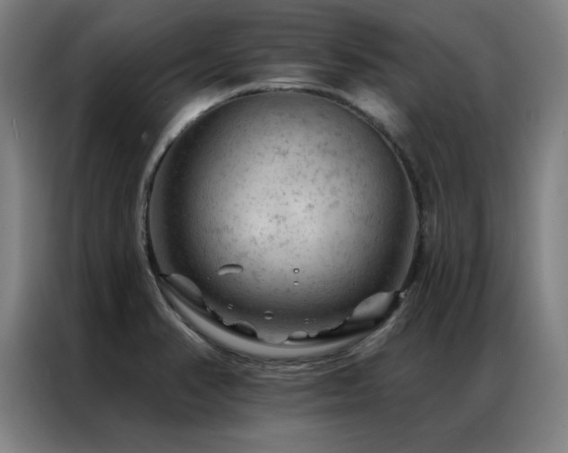 X0000087381374200704201238