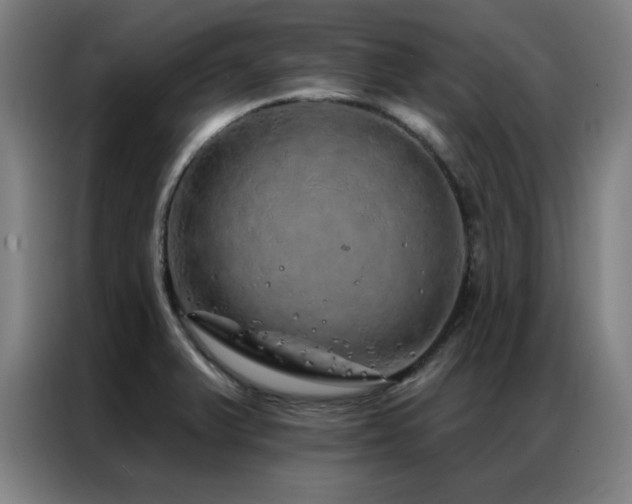 X0000087381375200704201238