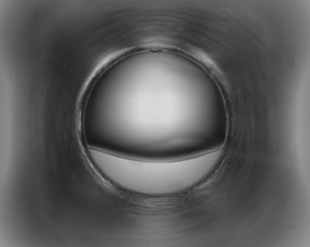X0000087381376200704201238