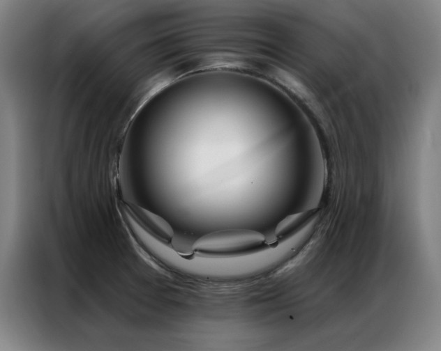 X0000087381377200704201238