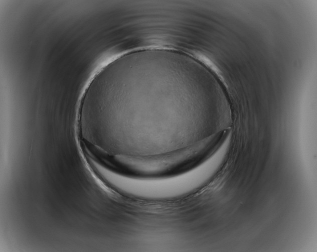 X0000087381379200704201238