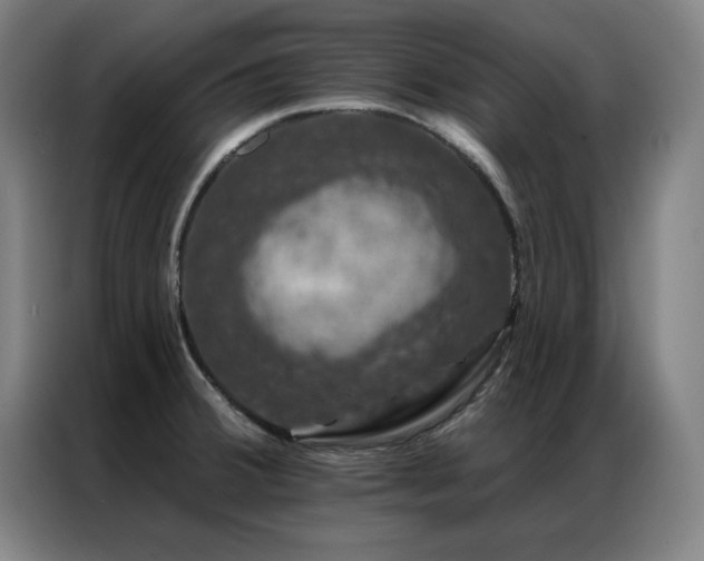 X0000087381380200704201238