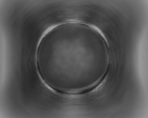 X0000087381381200704201238
