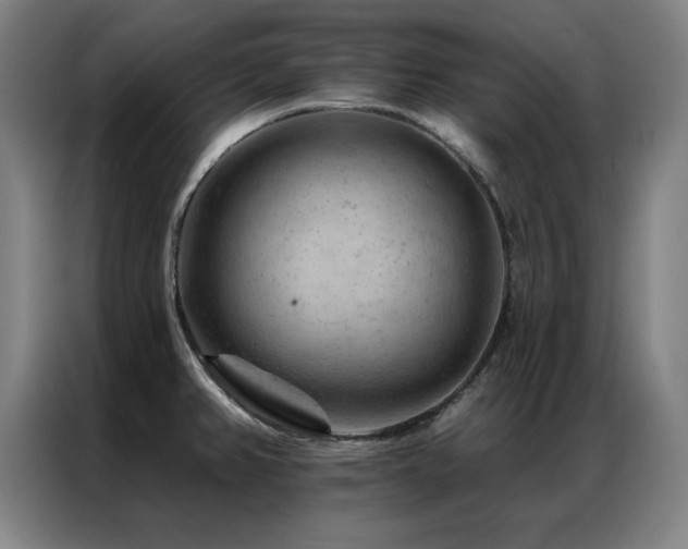 X0000087381382200704201238
