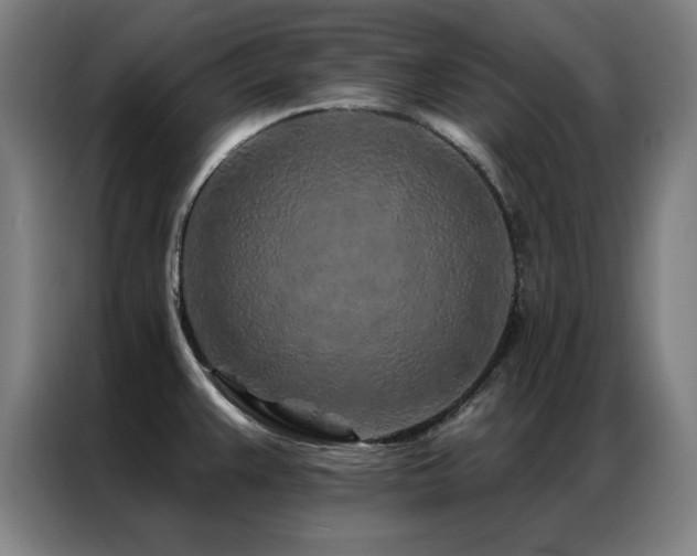 X0000087381383200704201238