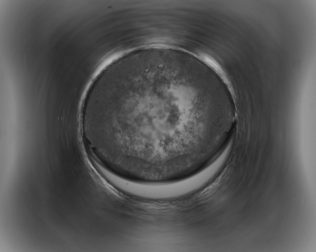 X0000087381384200704201238