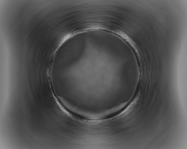 X0000087381385200704201238