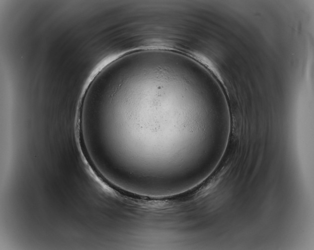 X0000087381387200704201238