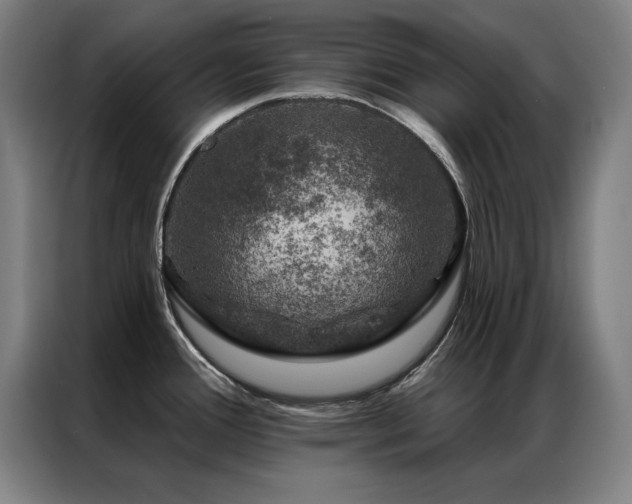 X0000087381388200704201238
