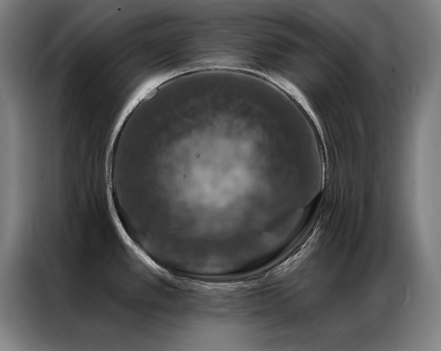 X0000087381389200704201238