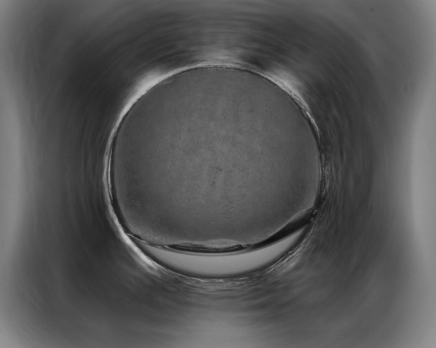X0000087381391200704201238
