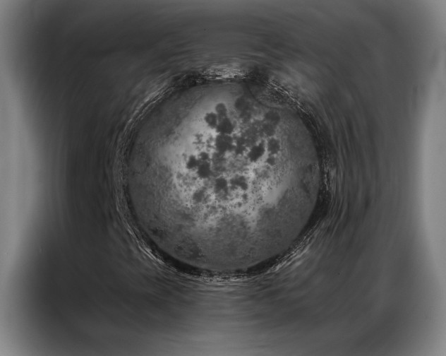 X0000087381393200704201237