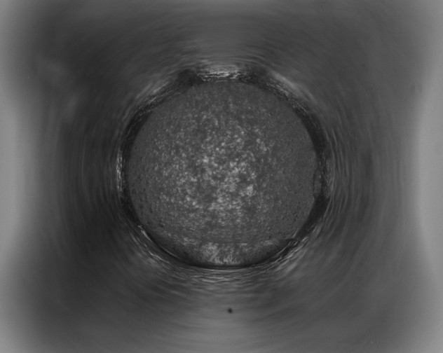 X0000087381394200704201237