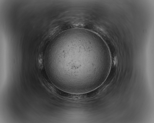 X0000087381396200704201237