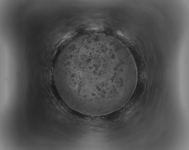 X0000087381397200704201237