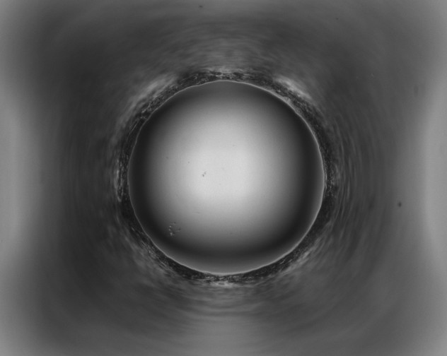 X0000087381398200704201237