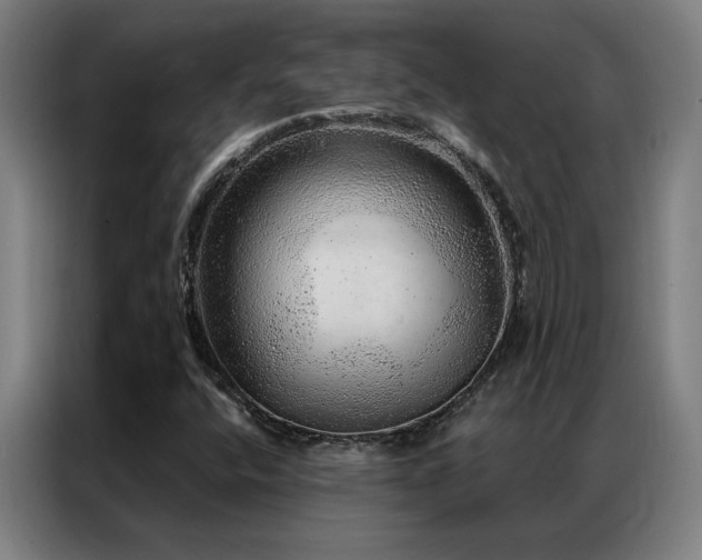 X0000087381400200704201237