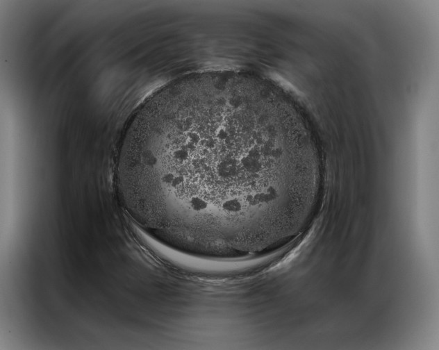 X0000087381401200704201237