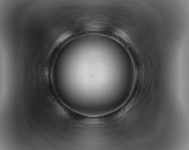 X0000087381402200704201237