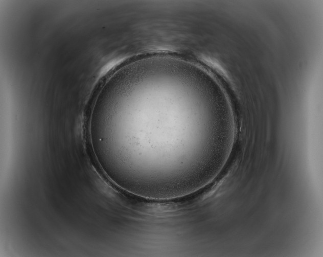 X0000087381404200704201237