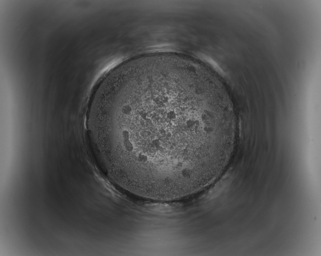 X0000087381405200704201237