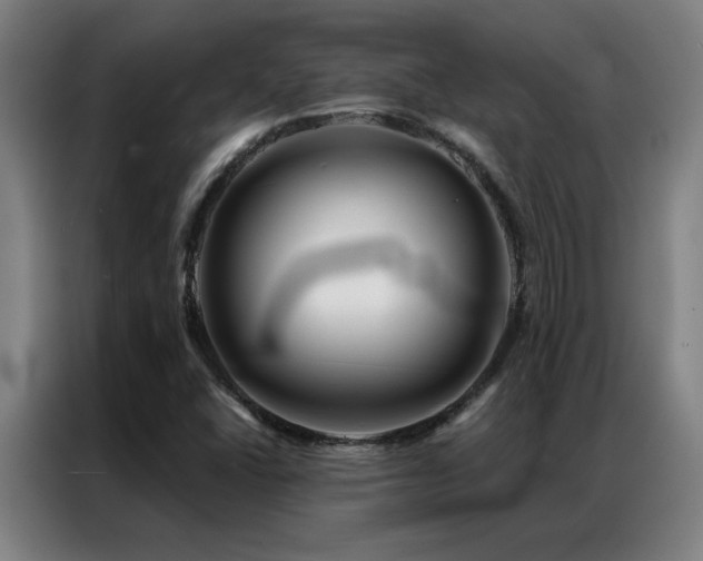 X0000087381406200704201237