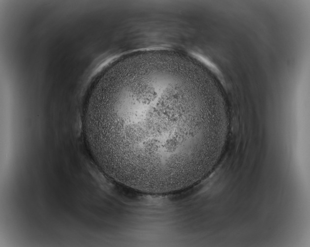 X0000087381407200704201237