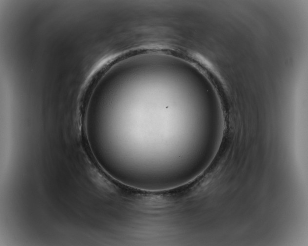 X0000087381408200704201237