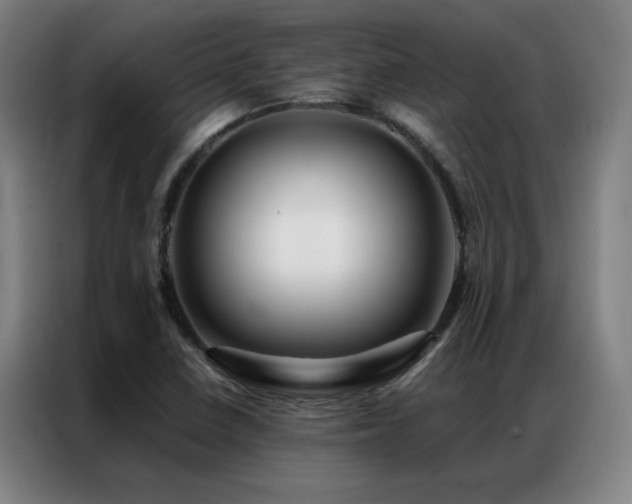 X0000087381410200704201237