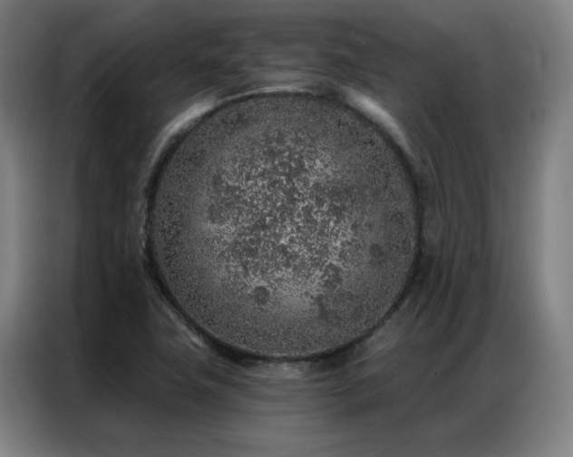 X0000087381411200704201237