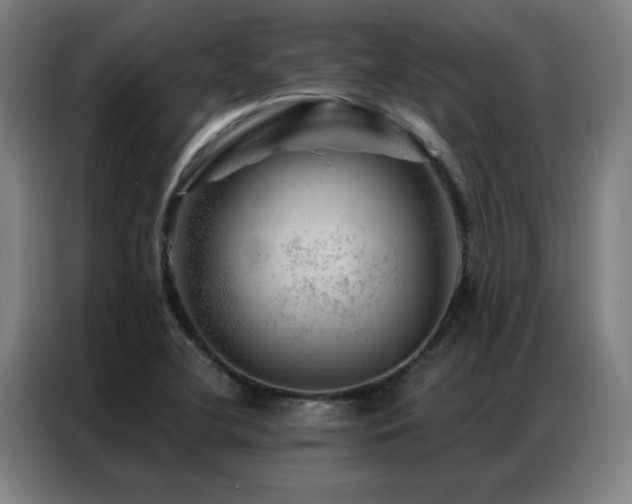 X0000087381412200704201237