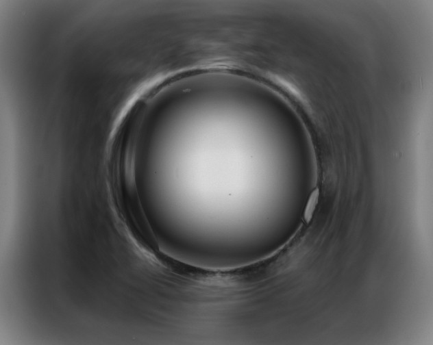 X0000087381414200704201237