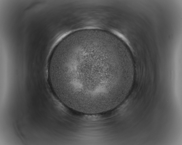 X0000087381415200704201237