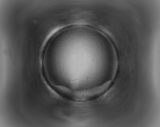 X0000087381416200704201237